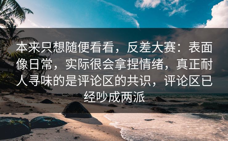 本来只想随便看看，反差大赛：表面像日常，实际很会拿捏情绪，真正耐人寻味的是评论区的共识，评论区已经吵成两派  第1张