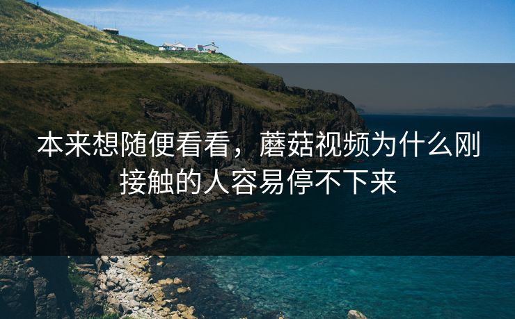 本来想随便看看，蘑菇视频为什么刚接触的人容易停不下来  第1张