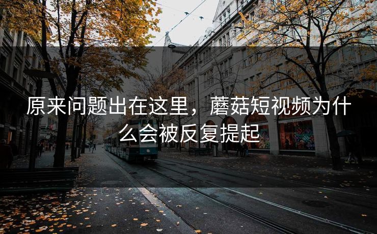 原来问题出在这里，蘑菇短视频为什么会被反复提起  第1张