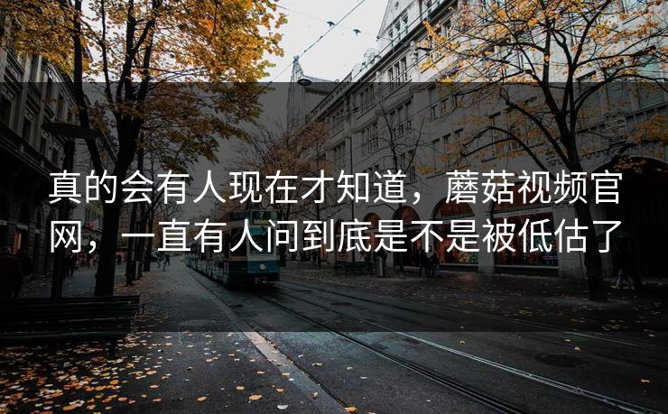 真的会有人现在才知道，蘑菇视频官网，一直有人问到底是不是被低估了  第1张