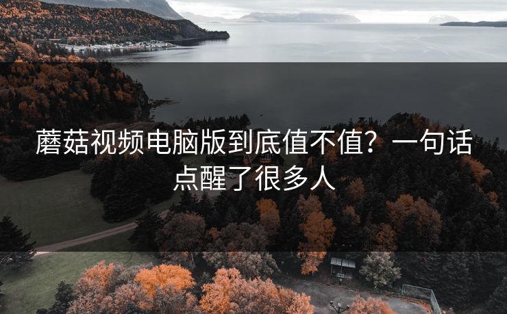 蘑菇视频电脑版到底值不值？一句话点醒了很多人  第1张