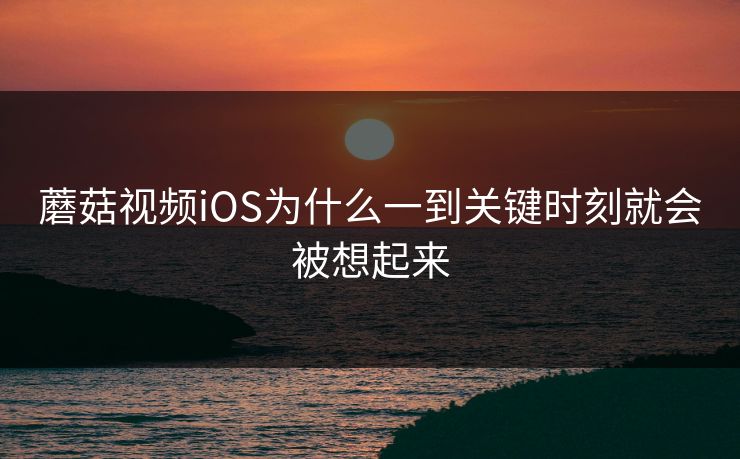蘑菇视频iOS为什么一到关键时刻就会被想起来  第1张