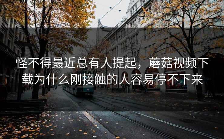 怪不得最近总有人提起，蘑菇视频下载为什么刚接触的人容易停不下来  第1张