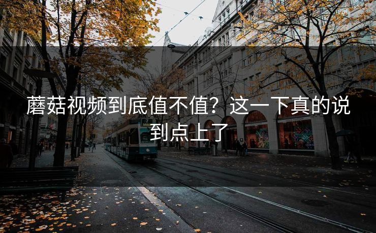 蘑菇视频到底值不值？这一下真的说到点上了