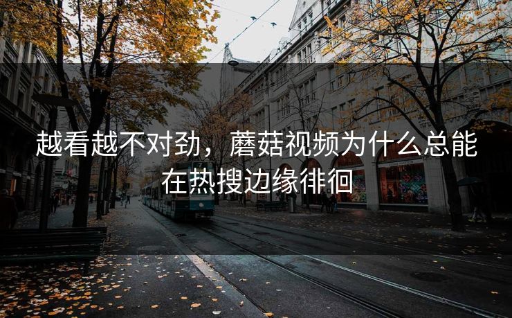越看越不对劲，蘑菇视频为什么总能在热搜边缘徘徊  第1张