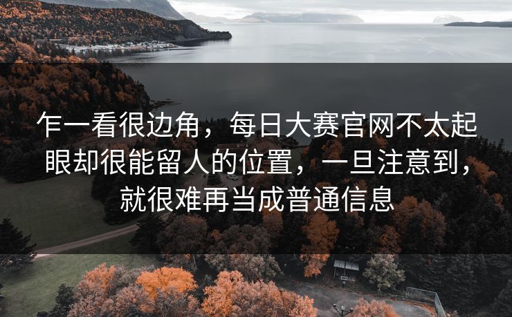 乍一看很边角，每日大赛官网不太起眼却很能留人的位置，一旦注意到，就很难再当成普通信息  第1张