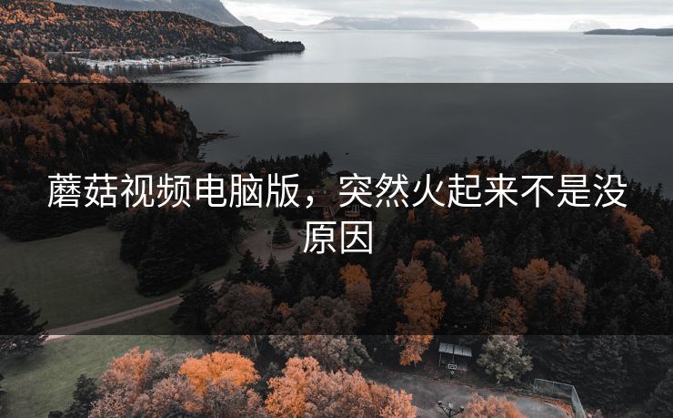蘑菇视频电脑版，突然火起来不是没原因  第1张