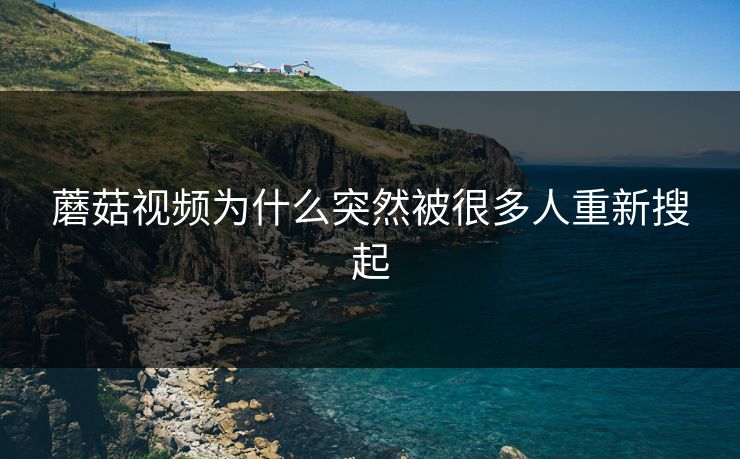 蘑菇视频为什么突然被很多人重新搜起  第1张