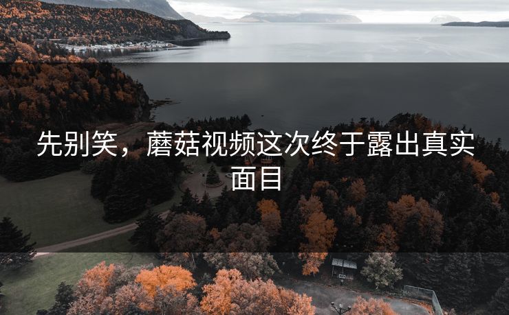 先别笑，蘑菇视频这次终于露出真实面目  第1张