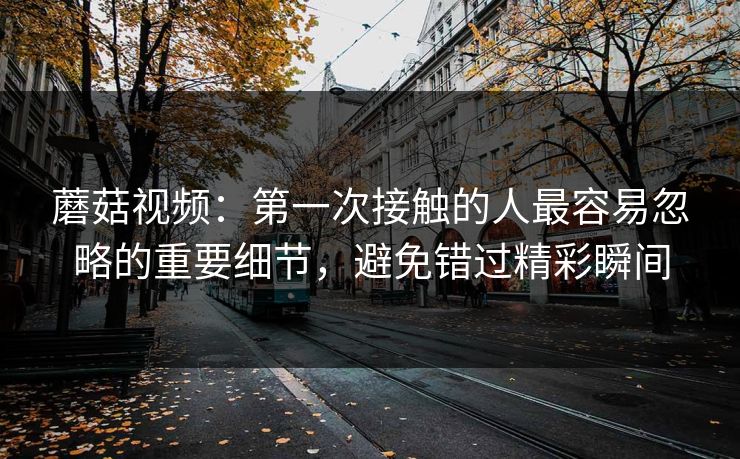 蘑菇视频：第一次接触的人最容易忽略的重要细节，避免错过精彩瞬间  第1张