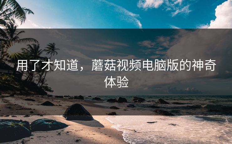 用了才知道，蘑菇视频电脑版的神奇体验  第1张