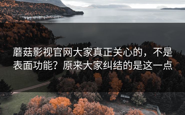 蘑菇影视官网大家真正关心的，不是表面功能？原来大家纠结的是这一点  第1张