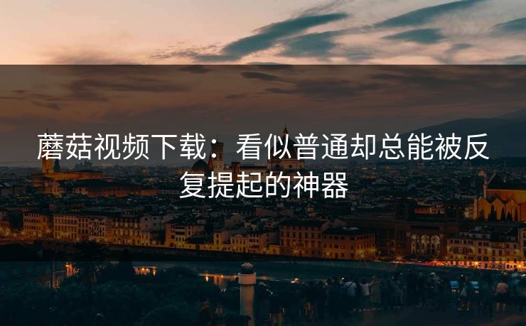 蘑菇视频下载：看似普通却总能被反复提起的神器
